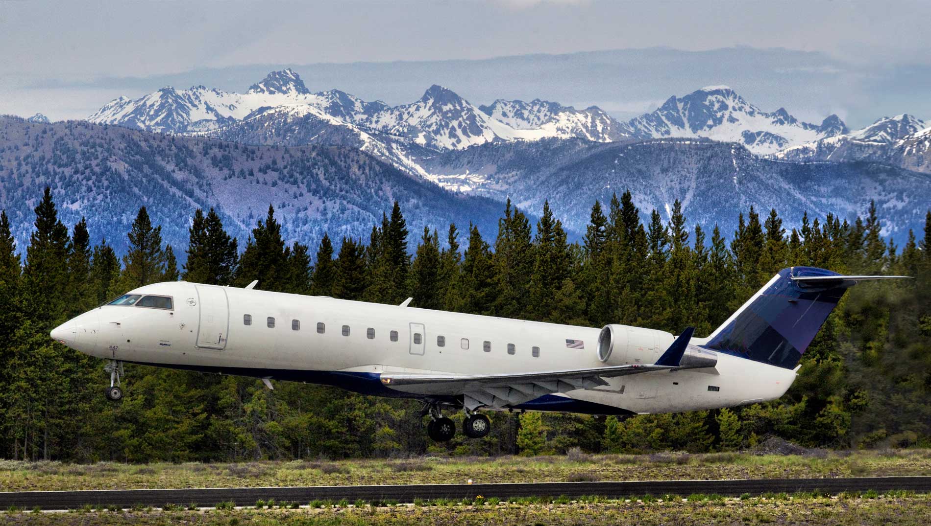 plane landing in front of a backdrop of snow-covered mountains and a forest of treets